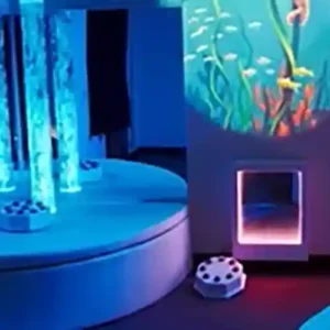 sensory tour of ocean