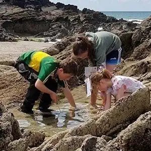 Guided Cromane Seashore Safari