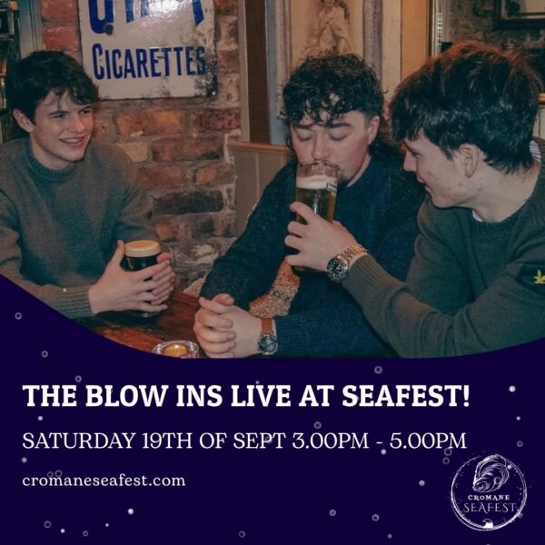 THE BLOW INS - SATURDAY MUSIC